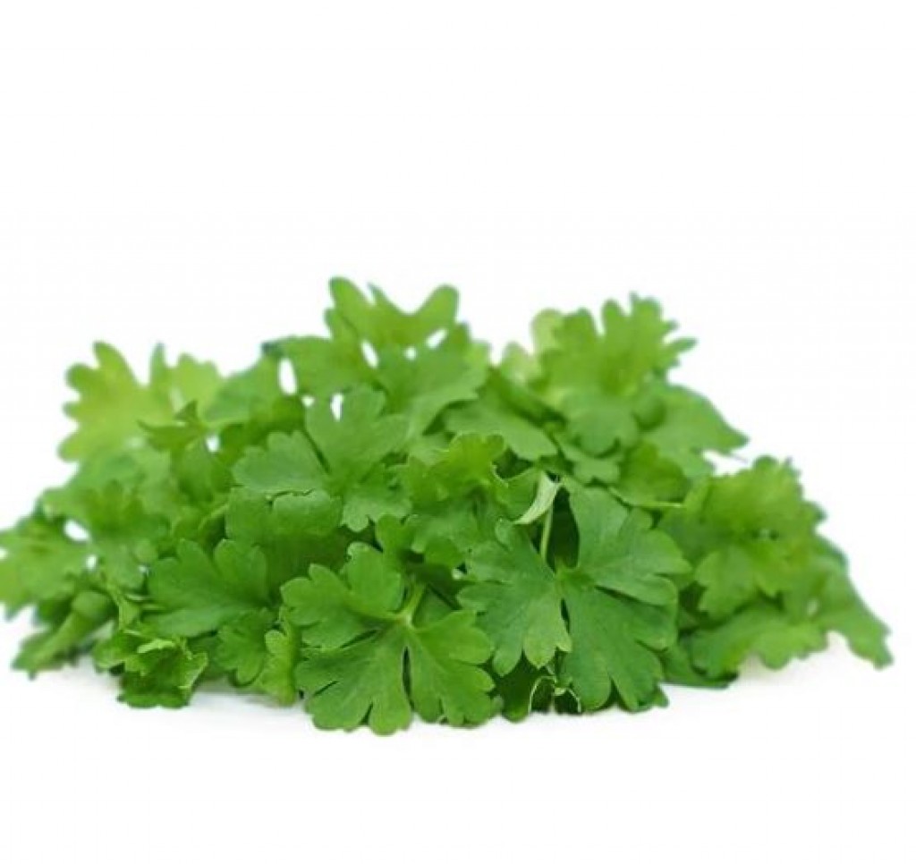 [Micro Parsley]